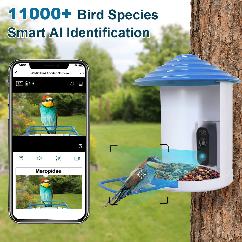 1080P Smart Bird Feeder Camera with Solar Panel, AI Bird Identification, Night Vision & Two-Way Audio (IP65 Waterproof)