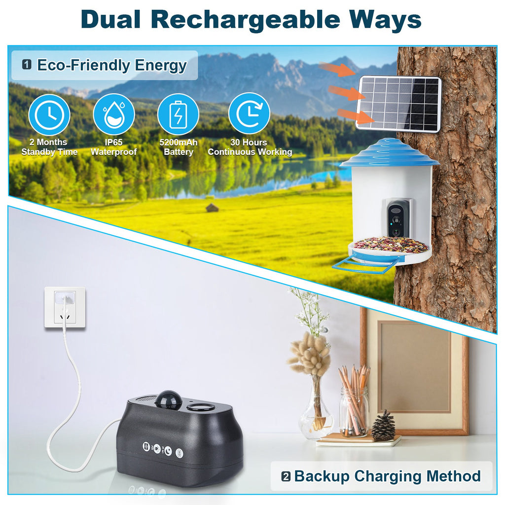 1080P Smart Bird Feeder Camera with Solar Panel, AI Bird Identification, Night Vision & Two-Way Audio (IP65 Waterproof)