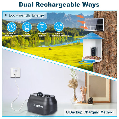 1080P Smart Bird Feeder Camera with Solar Panel, AI Bird Identification, Night Vision & Two-Way Audio (IP65 Waterproof)