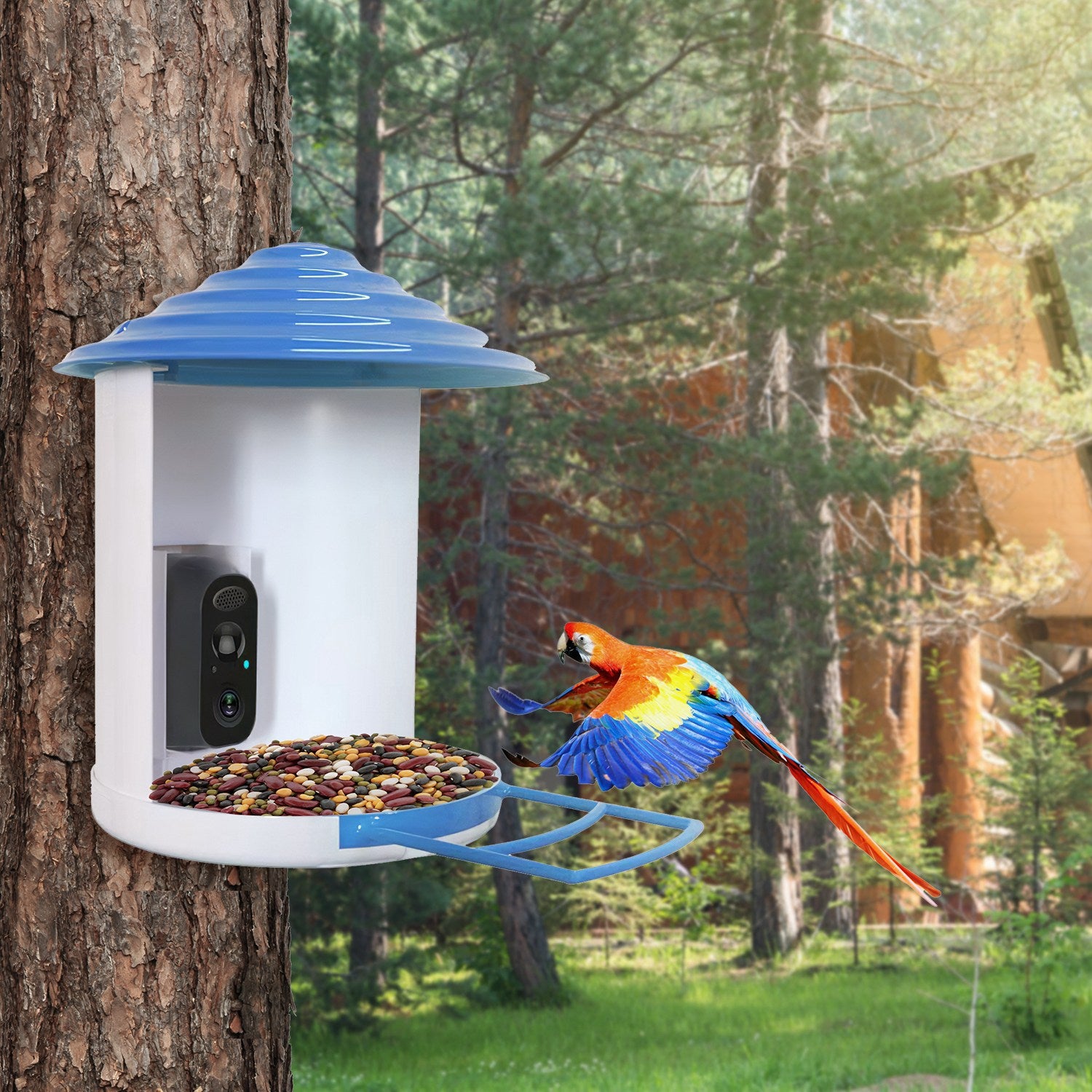 1080P Smart Bird Feeder Camera with Solar Panel, AI Bird Identification, Night Vision & Two-Way Audio (IP65 Waterproof)